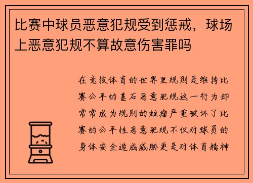 比赛中球员恶意犯规受到惩戒，球场上恶意犯规不算故意伤害罪吗